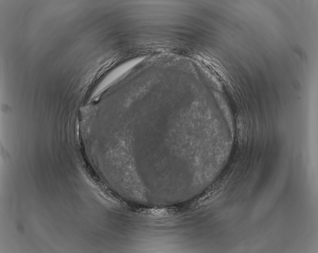 X0000090610406200708071207