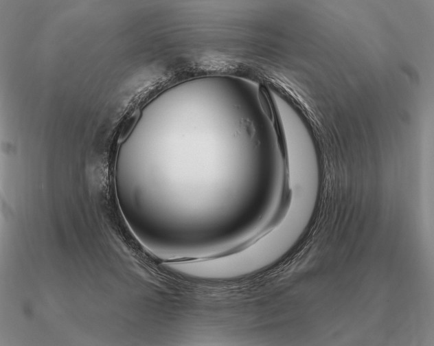 X0000090610407200708071207