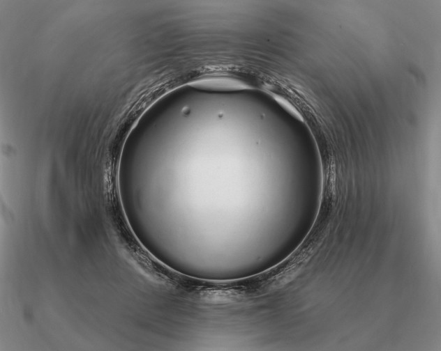 X0000090610408200708071207