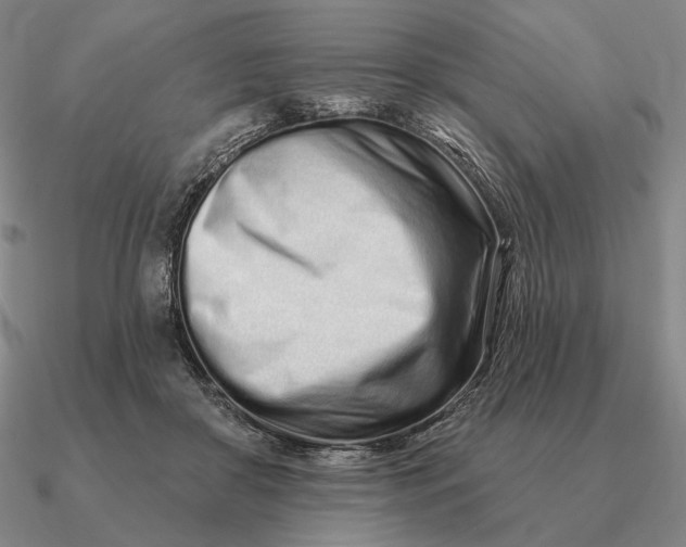 X0000090610410200708071207