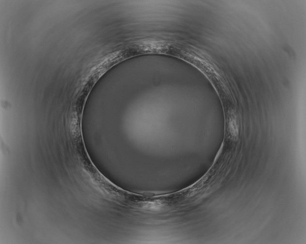 X0000090610411200708071207