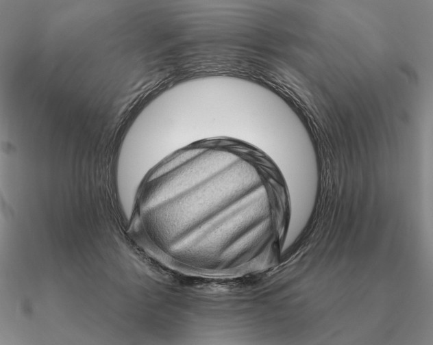 X0000090610412200708071207