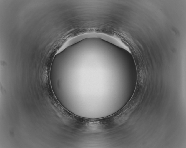 X0000090610413200708071207