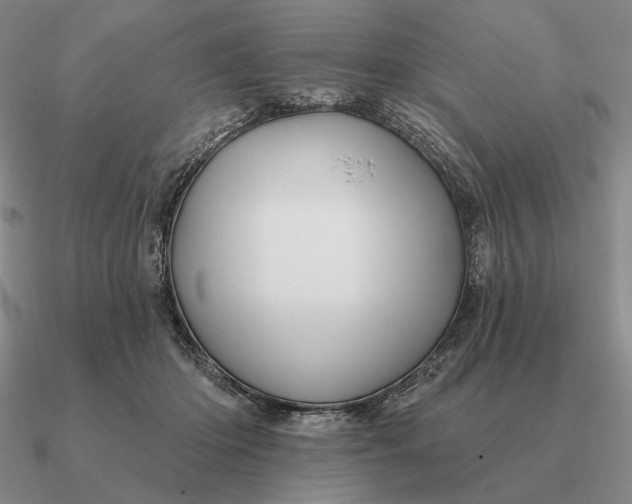 X0000090610414200708071207