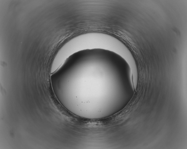 X0000090610415200708071207