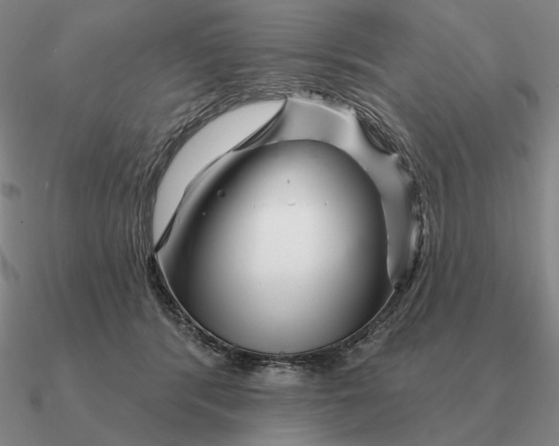 X0000090610416200708071207