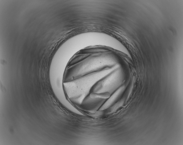 X0000090610417200708071207