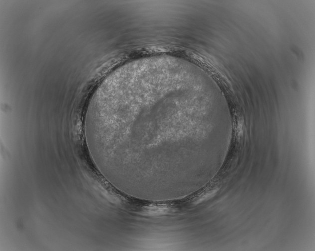 X0000090610418200708071207