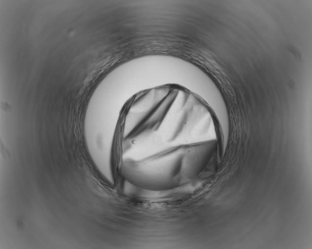 X0000090610419200708071207