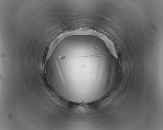 X0000090610420200708071207