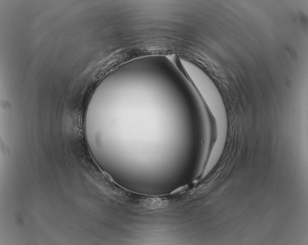 X0000090610421200708071207