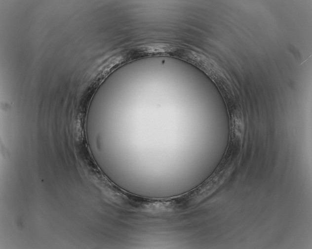 X0000090610422200708071207