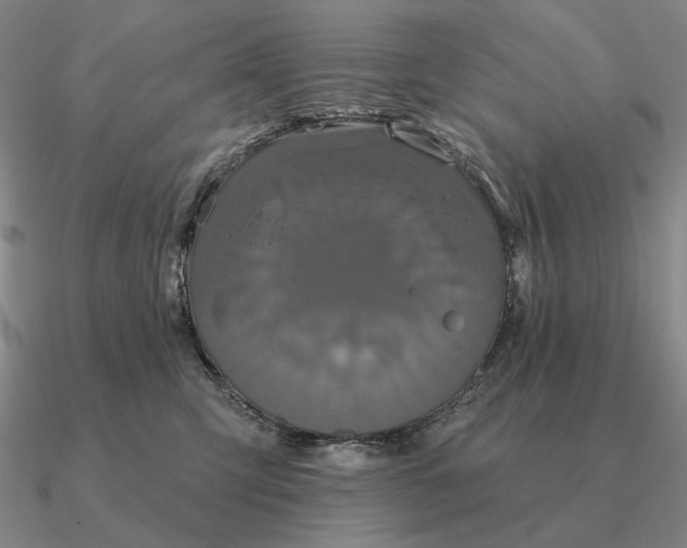 X0000090610423200708071207