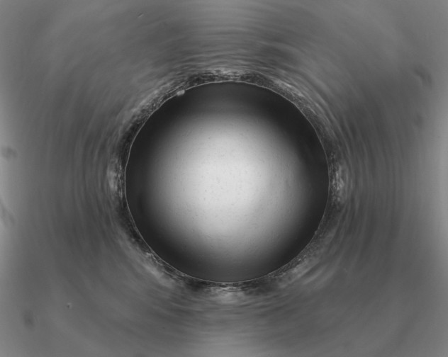 X0000090610424200708071207