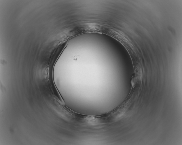 X0000090610425200708071207