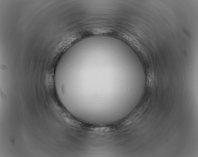 X0000090610426200708071207