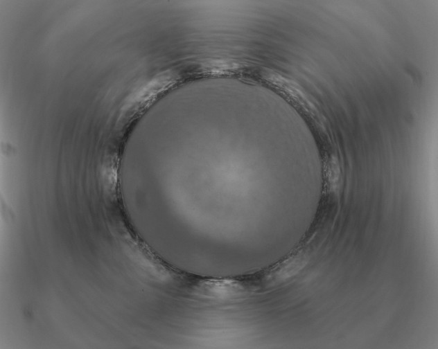 X0000090610427200708071207