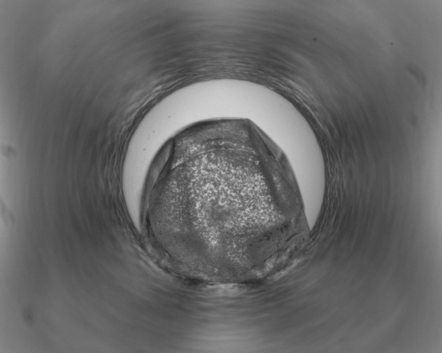 X0000090610428200708071207