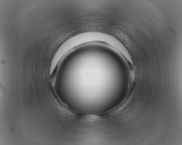 X0000090610429200708071207