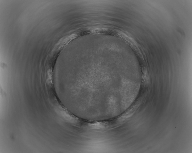 X0000090610430200708071207