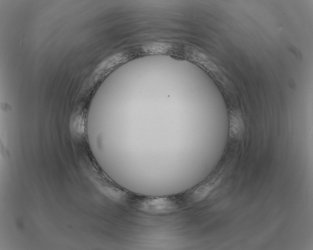 X0000090610431200708071207