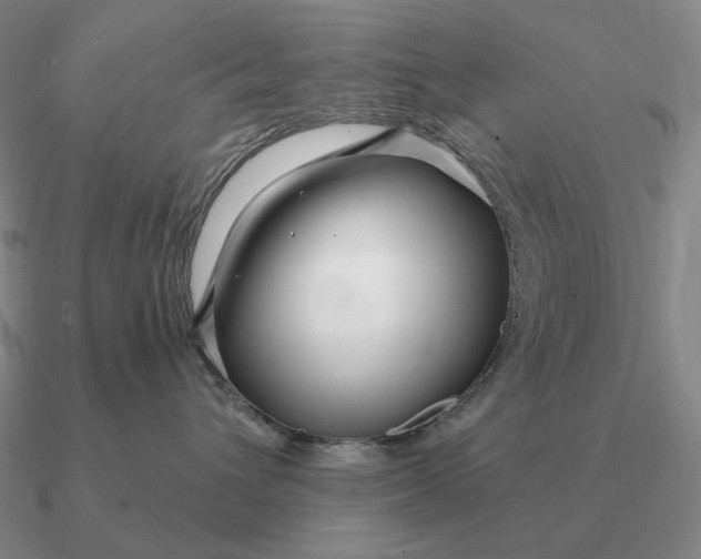 X0000090610432200708071207