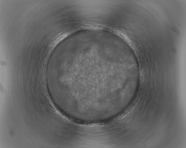 X0000090610433200708071206