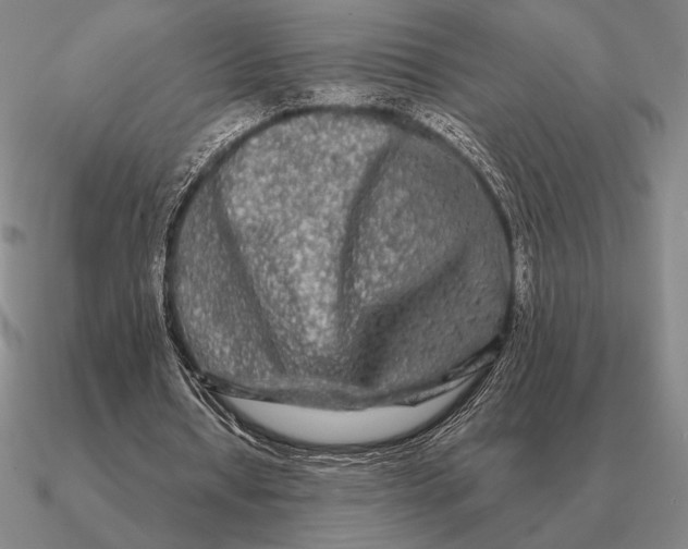 X0000090610434200708071206