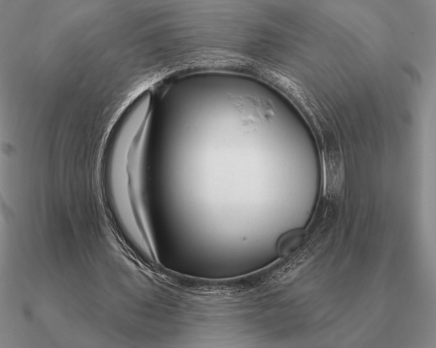 X0000090610435200708071206