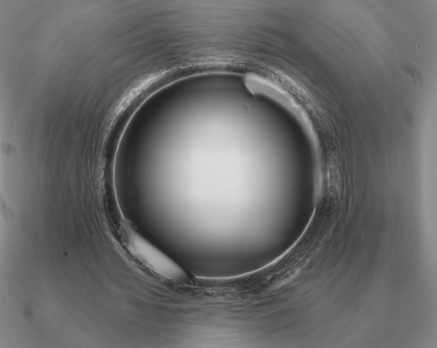 X0000090610436200708071206