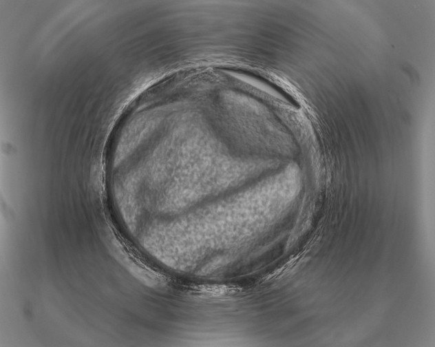 X0000090610439200708071206