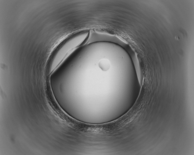 X0000090610440200708071206