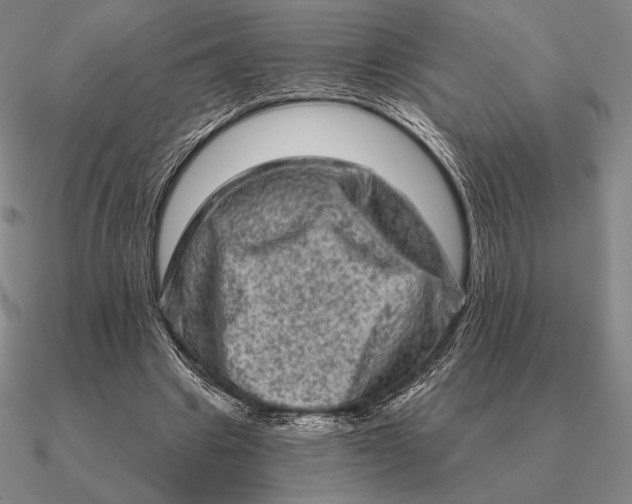 X0000090610441200708071206