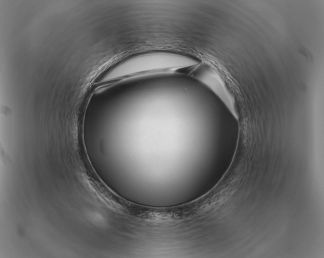 X0000090610442200708071206