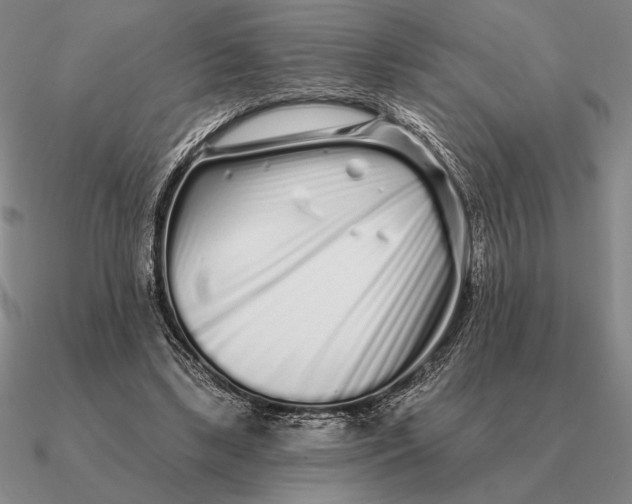 X0000090610443200708071207