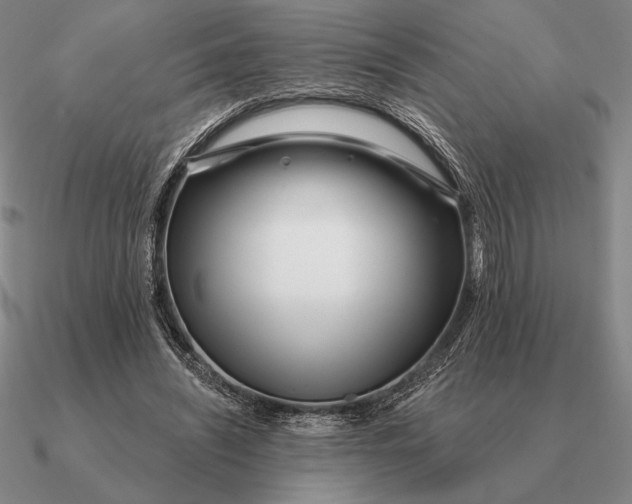 X0000090610444200708071207