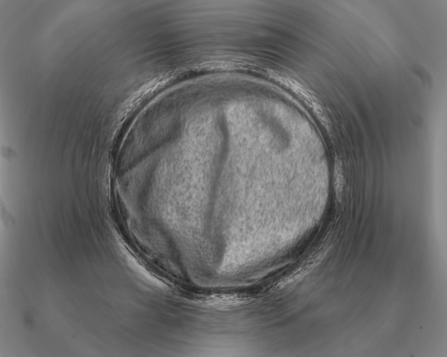 X0000090610445200708071207