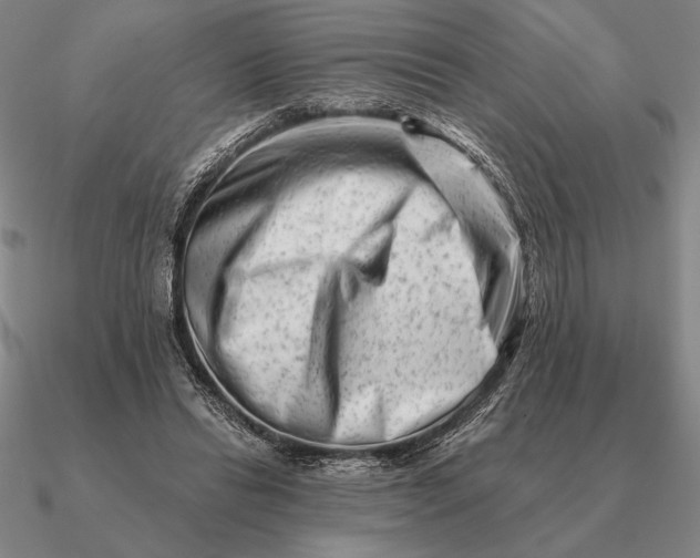 X0000090610446200708071207