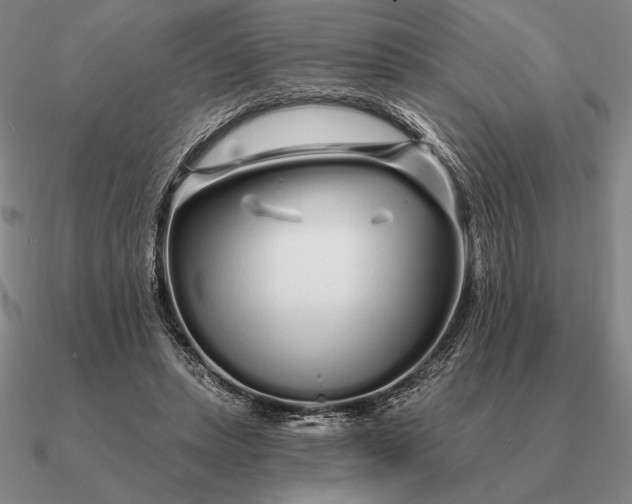 X0000090610447200708071207