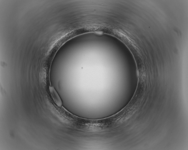 X0000090610448200708071207