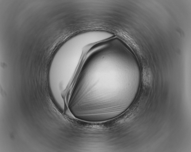 X0000090610449200708071207