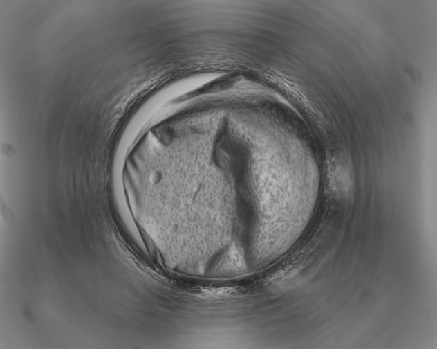 X0000090610450200708071207