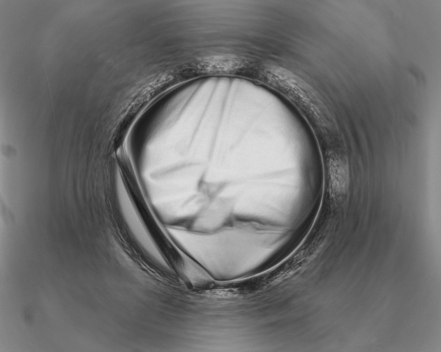 X0000090610451200708071207