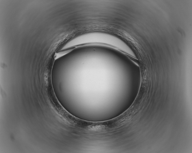 X0000090610452200708071207