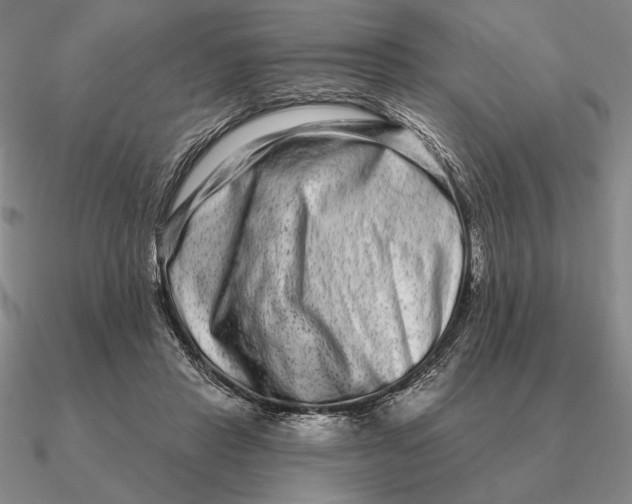 X0000090610453200708071207