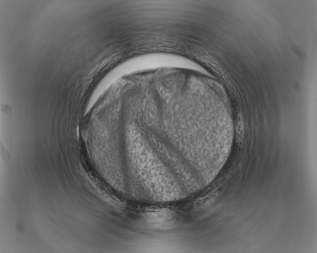 X0000090610454200708071207