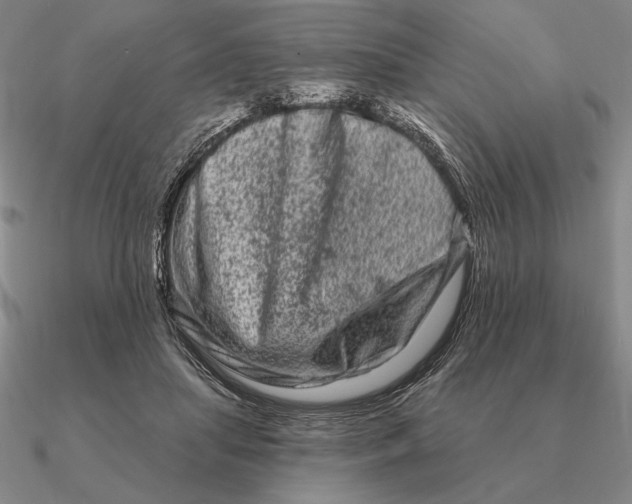 X0000090610455200708071207