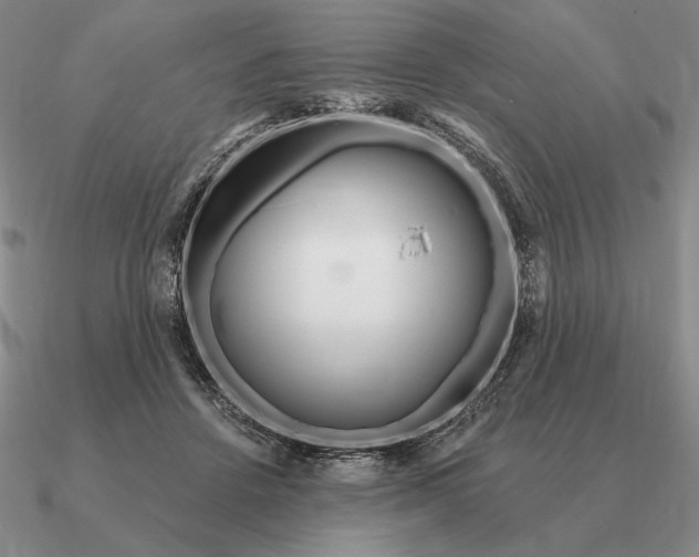 X0000090610456200708071207