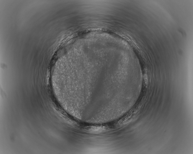 X0000090610458200708071207