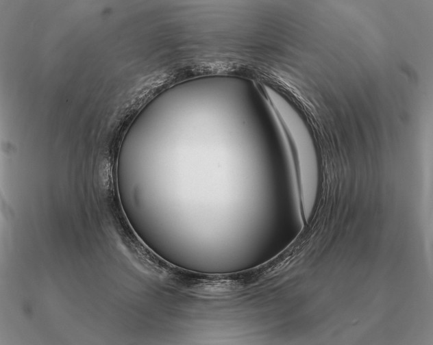 X0000090610459200708071207